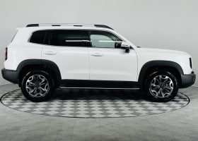 Haval Dargo