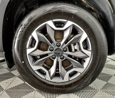 Haval Dargo