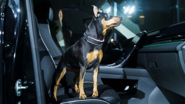 Презентация Omoda C5 и Jaecoo J6 в К-Моторс